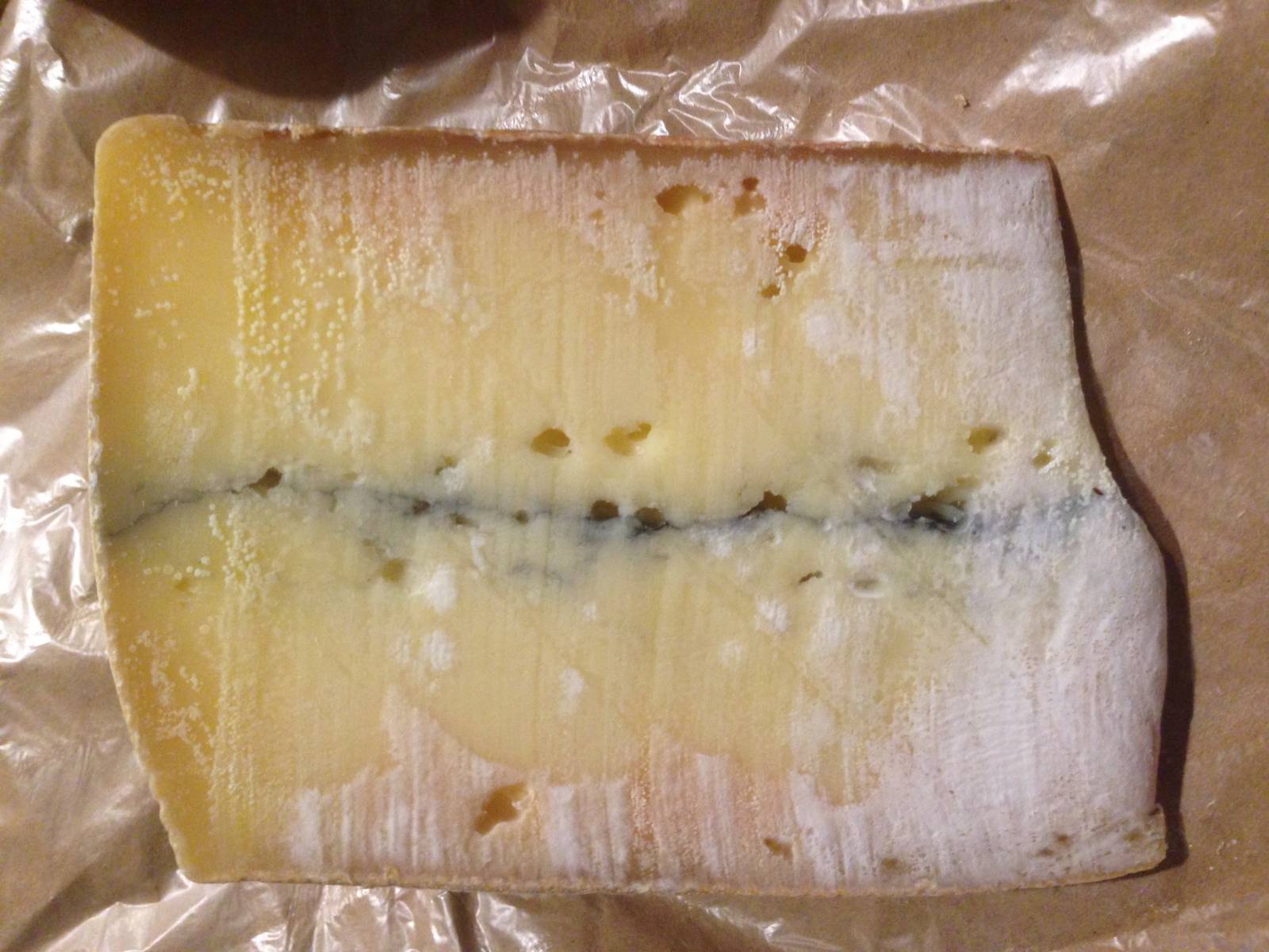 Jak vypadá plíseň na sýru?